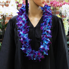 Load image into Gallery viewer, Tinted Blue Dendrobium Sonia Orchids Double Leis