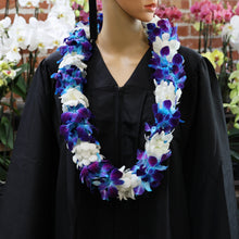 Load image into Gallery viewer, White & Tinted Blue Dendrobium Sonia Orchids Double Leis