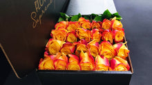 Load image into Gallery viewer, Hybrid Tea Roses - Yellow & OrangeRed Border