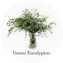 Load image into Gallery viewer, Hybrid Tea Roses - Yellow