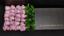 Load image into Gallery viewer, Hybrid Tea Roses - Lavender