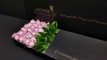 Load image into Gallery viewer, Hybrid Tea Roses - Lavender
