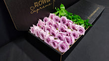 Load image into Gallery viewer, Hybrid Tea Roses - Lavender