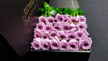 Load image into Gallery viewer, Hybrid Tea Roses - Lavender