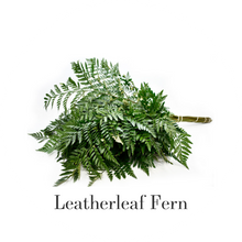 Load image into Gallery viewer, Hybrid Tea Roses - White