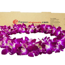 Load image into Gallery viewer, Purple Dendrobium Orchid Double Leis