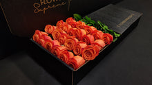 Load image into Gallery viewer, Hybrid Tea Roses - Orange Crush