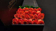 Load image into Gallery viewer, Hybrid Tea Roses - Orange Crush