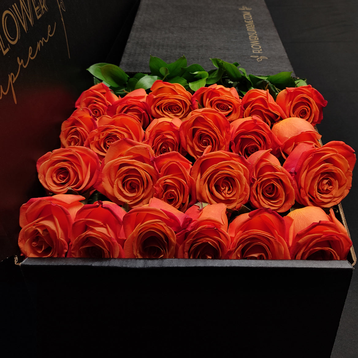 Hybrid Tea Roses - Orange Crush – eflowerwholesale