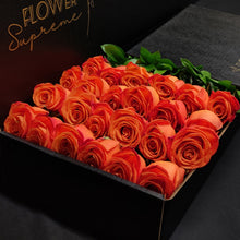Load image into Gallery viewer, Hybrid Tea Roses - Orange Crush