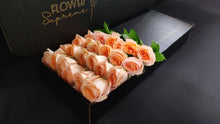 Load image into Gallery viewer, Hybrid Tea Roses - Peach
