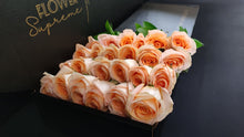 Load image into Gallery viewer, Hybrid Tea Roses - Peach