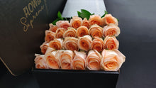 Load image into Gallery viewer, Hybrid Tea Roses - Peach