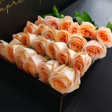 Load image into Gallery viewer, Hybrid Tea Roses - Peach
