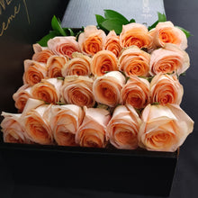 Load image into Gallery viewer, Hybrid Tea Roses - Peach