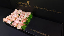 Load image into Gallery viewer, Hybrid Tea Roses - Pink