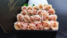 Load image into Gallery viewer, Hybrid Tea Roses - Pink