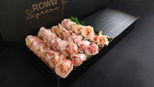 Load image into Gallery viewer, Hybrid Tea Roses - Pink