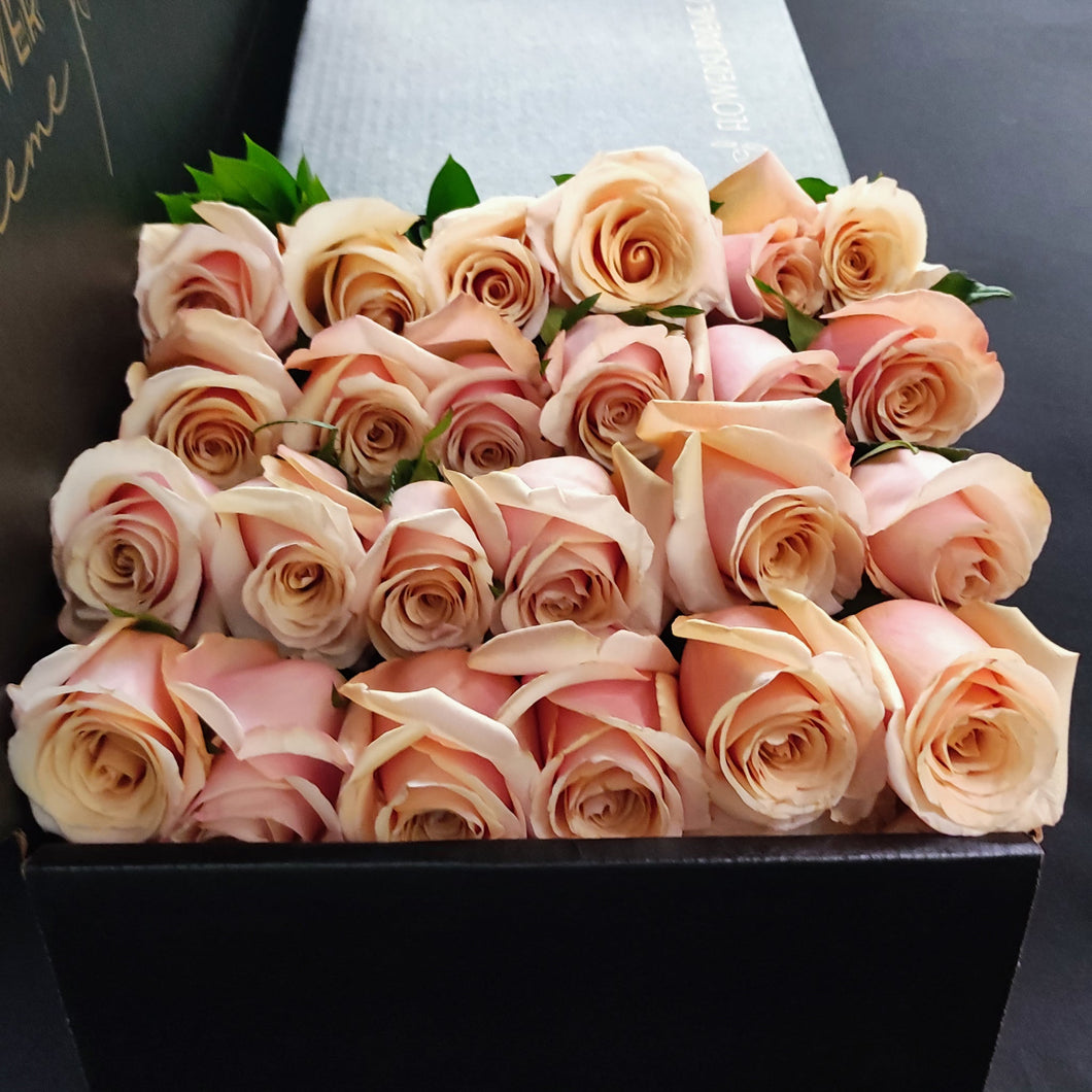 Hybrid Tea Roses - Pink