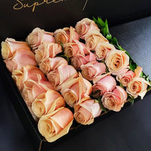 Load image into Gallery viewer, Hybrid Tea Roses - Pink