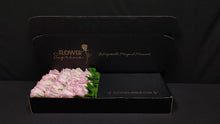 Load image into Gallery viewer, Hybrid Tea Roses - Light Pink