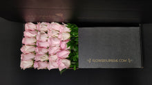 Load image into Gallery viewer, Hybrid Tea Roses - Light Pink