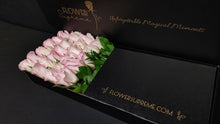 Load image into Gallery viewer, Hybrid Tea Roses - Light Pink