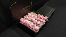 Load image into Gallery viewer, Hybrid Tea Roses - Light Pink