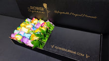 Load image into Gallery viewer, Specialty Roses - Rainbow