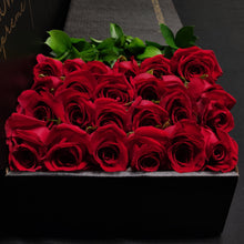 Load image into Gallery viewer, Hybrid Tea Roses - Red