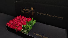 Load image into Gallery viewer, Hybrid Tea Roses - Red