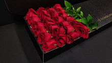 Load image into Gallery viewer, Hybrid Tea Roses - Red
