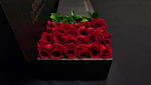 Load image into Gallery viewer, Hybrid Tea Roses - Red