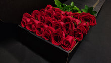 Load image into Gallery viewer, Hybrid Tea Roses - Red