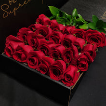 Load image into Gallery viewer, Hybrid Tea Roses - Red