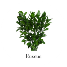 Load image into Gallery viewer, Hybrid Tea Roses - Yellow