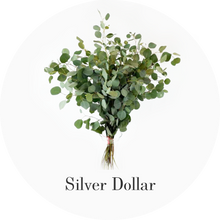 Load image into Gallery viewer, Hybrid Tea Roses - Pink