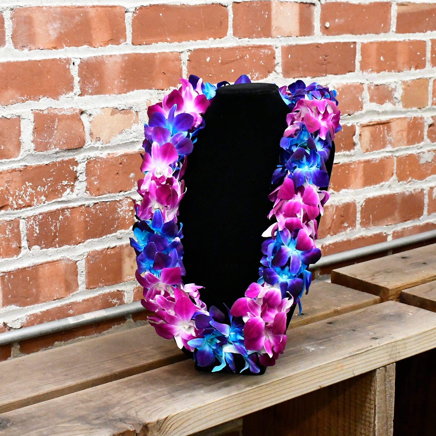 Purple & Tinted Blue Dendrobium Sonia Orchids Double Leis