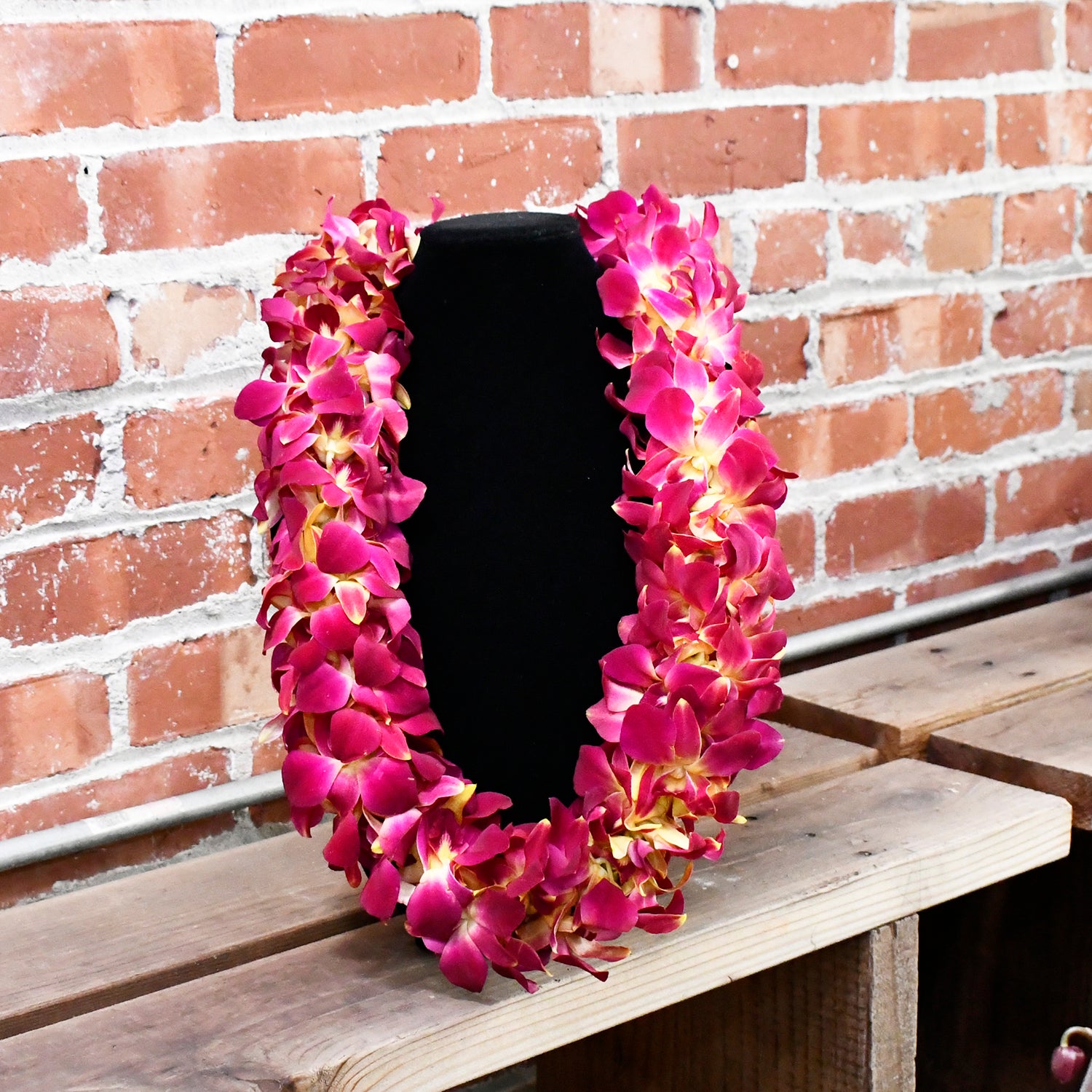 Tinted Yellow Dendrobium Sonia Orchids Double Leis – eflowerwholesale