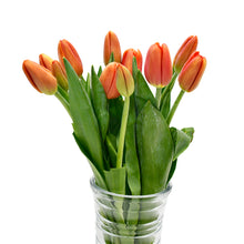 Load image into Gallery viewer, Orange Tulips
