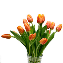 Load image into Gallery viewer, Orange Tulips
