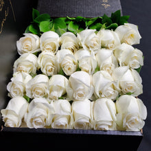Load image into Gallery viewer, Hybrid Tea Roses - White