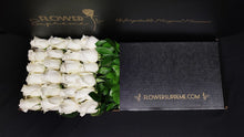 Load image into Gallery viewer, Hybrid Tea Roses - White
