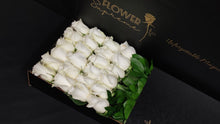 Load image into Gallery viewer, Hybrid Tea Roses - White