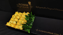 Load image into Gallery viewer, Hybrid Tea Roses - Yellow