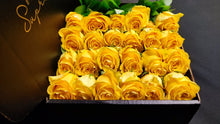Load image into Gallery viewer, Hybrid Tea Roses - Yellow