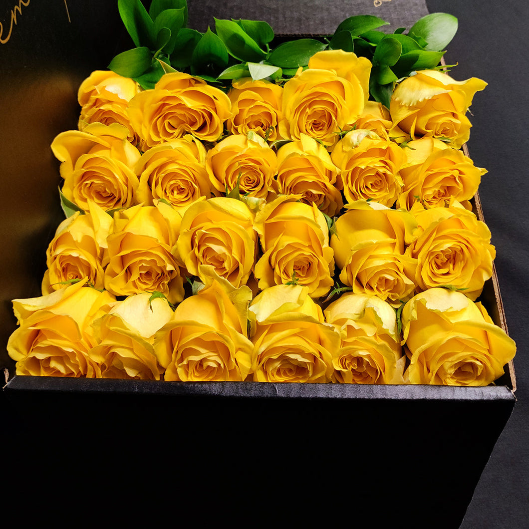 Hybrid Tea Roses - Yellow