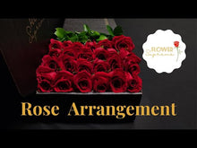 Load and play video in Gallery viewer, Hybrid Tea Roses - Lavender
