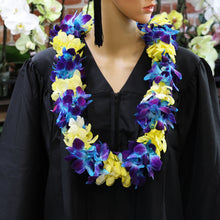 Load image into Gallery viewer, Yellow &amp; Tinted Blue Dendrobium Sonia Orchids Double Leis
