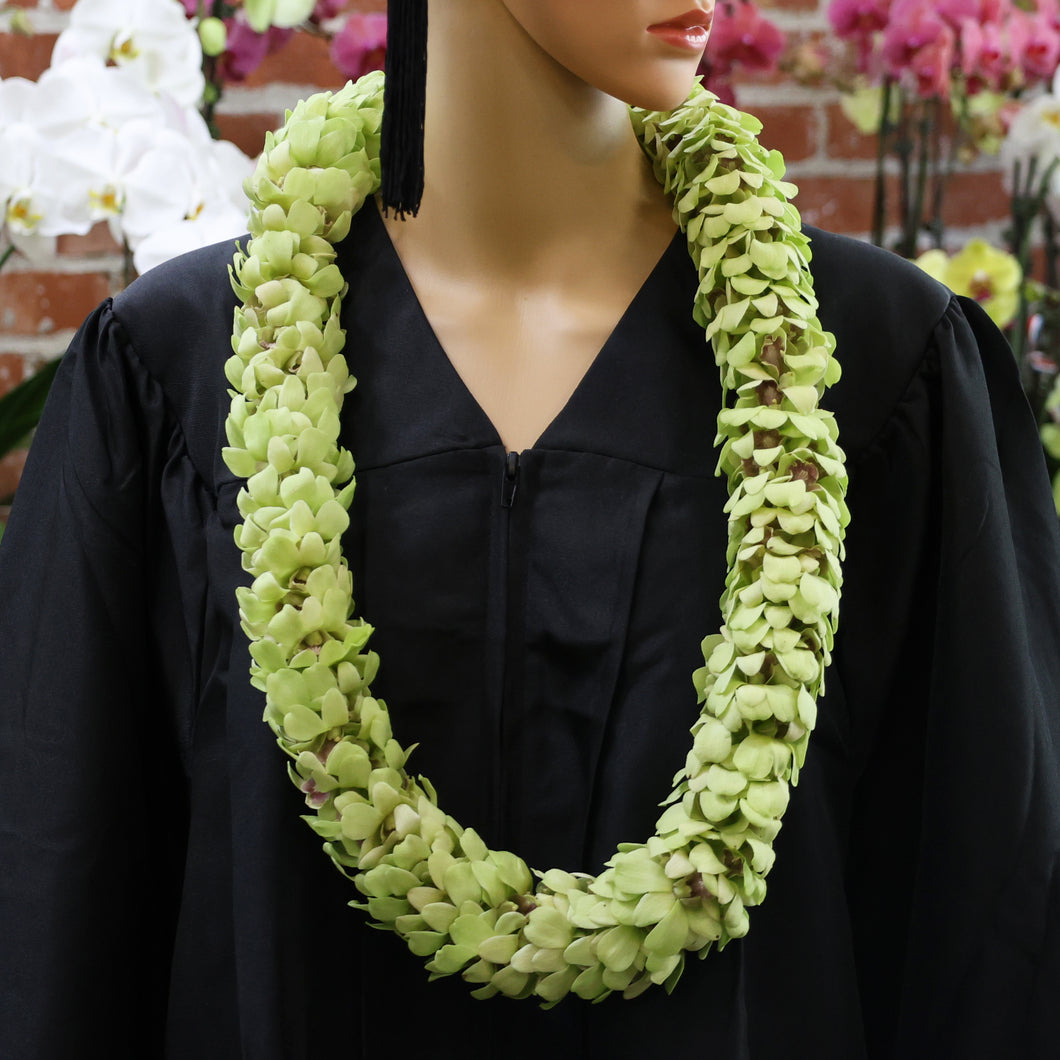Green Dendrobium Sonia Orchids Double Leis